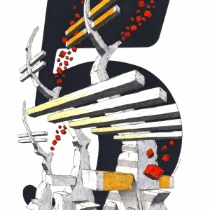 Numerus C. #231 